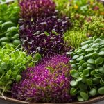 microgreens recipes